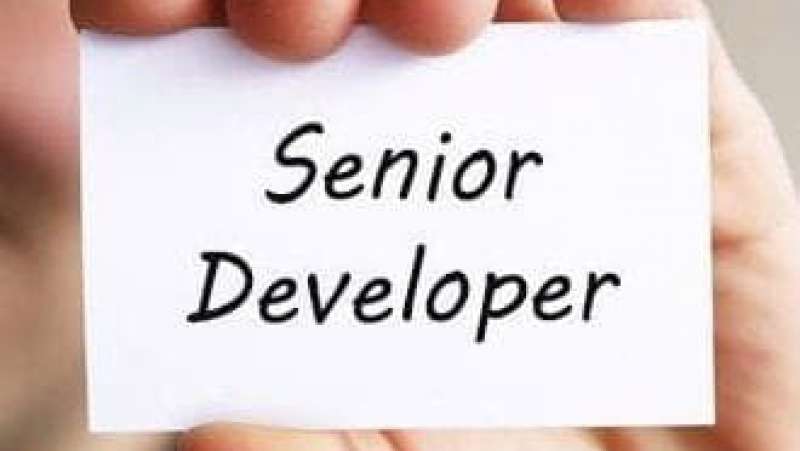 Senior Developer là gì?