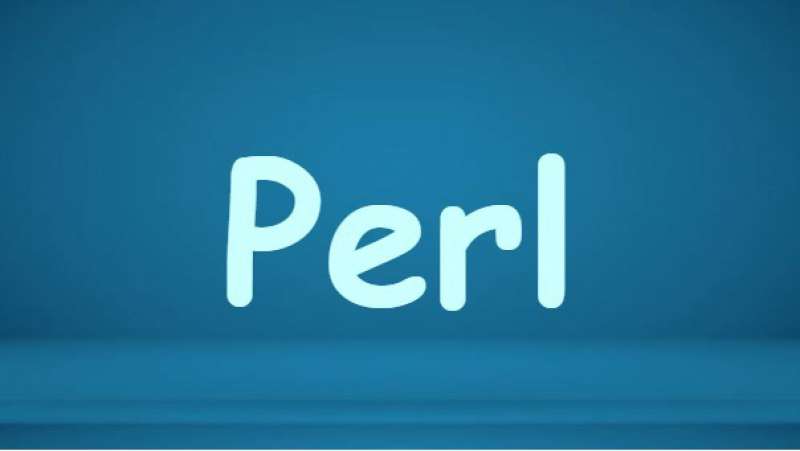 Ngôn ngữ Perl là gì?