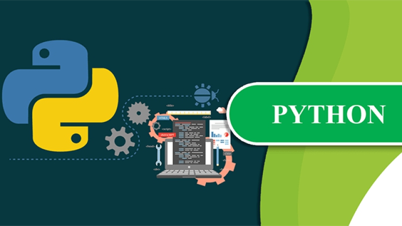 Có nên học lập trình Python?