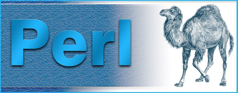 Perl là gì?