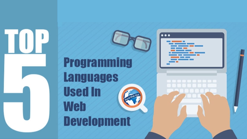 5 ngôn ngữ lập trình phổ biến dành cho web developer