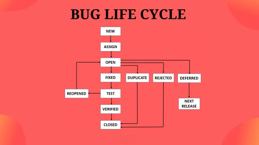 Bug life cycle là gì?