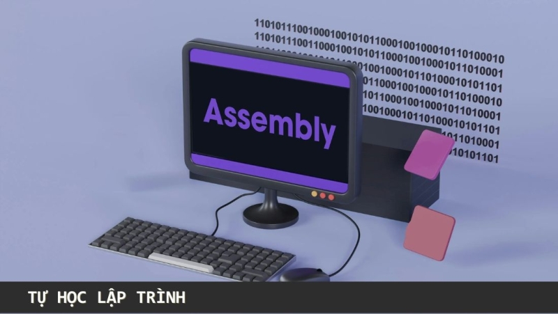 Assembly là gì trong lập trình?