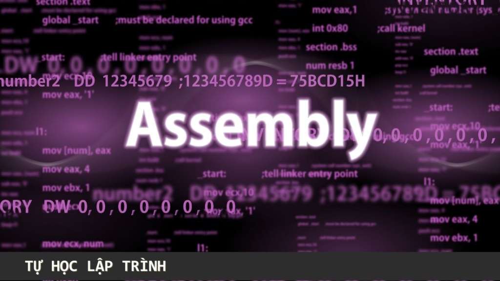 Assembly là gì trong lập trình?