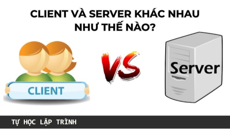 Client và server khác nhau như thế nào?