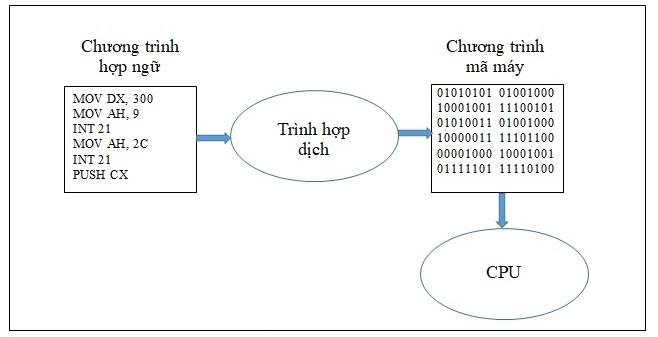 Hợp ngữ là gì?